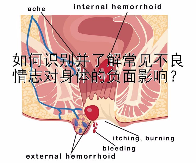 如何识别并了解常见不良情志对身体的负面影响？