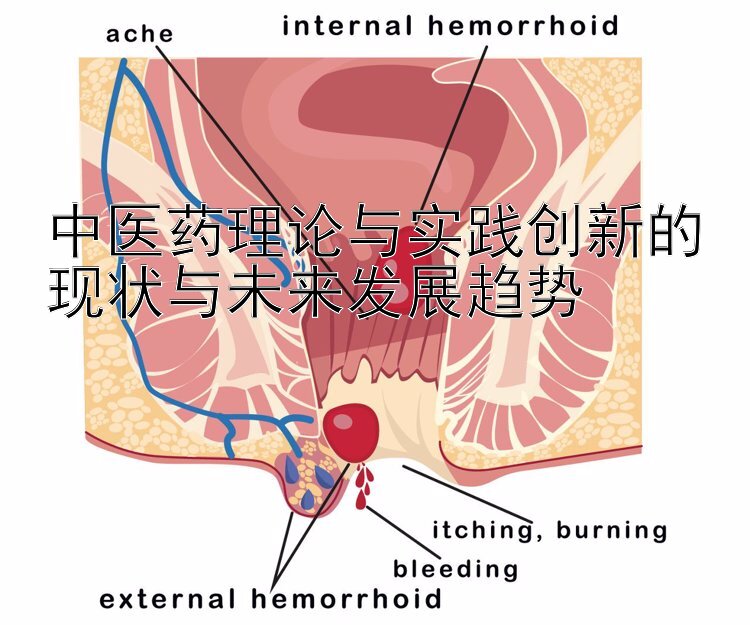 中医药理论与实践创新的现状与未来发展趋势