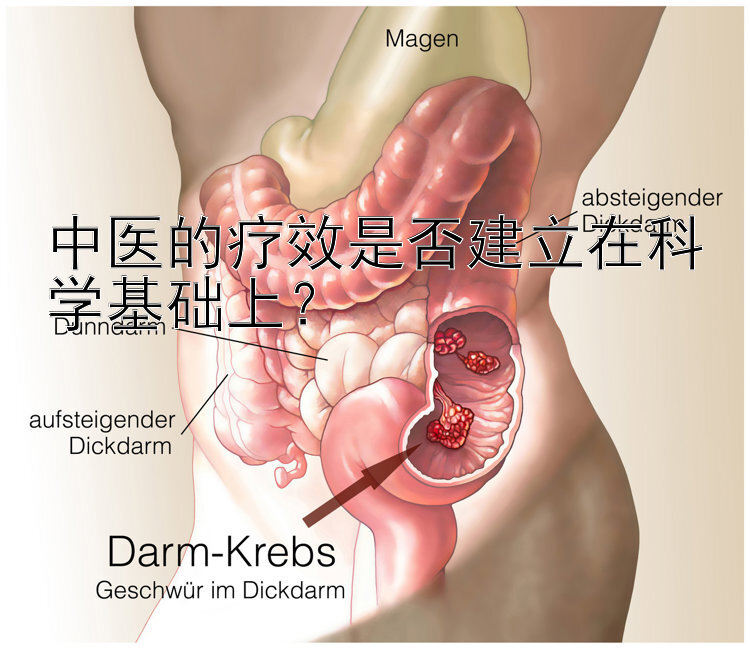 中医的疗效是否建立在科学基础上？