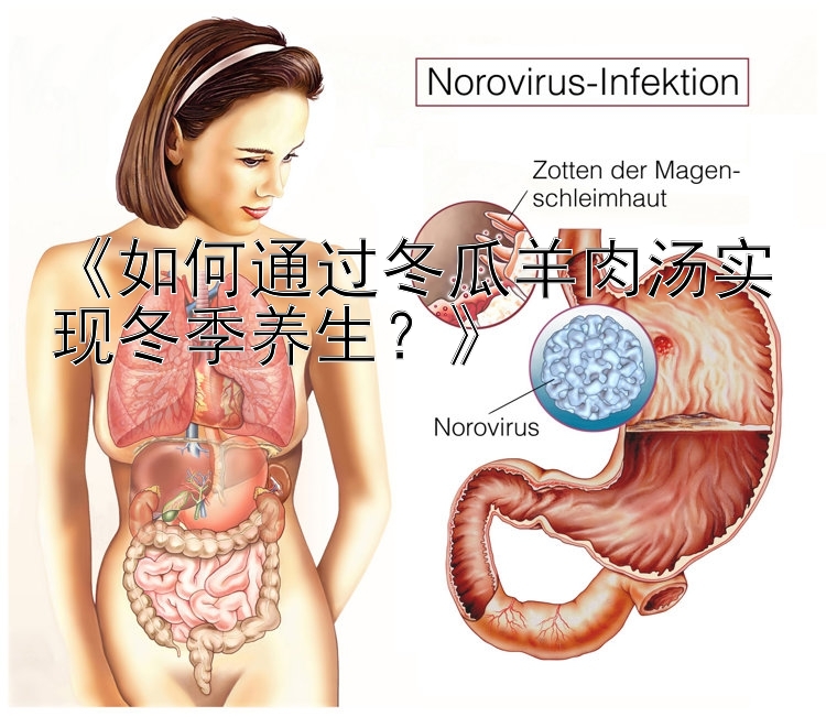 新澳门免费资料大全《如何通过冬瓜羊肉汤实现冬季养生？》