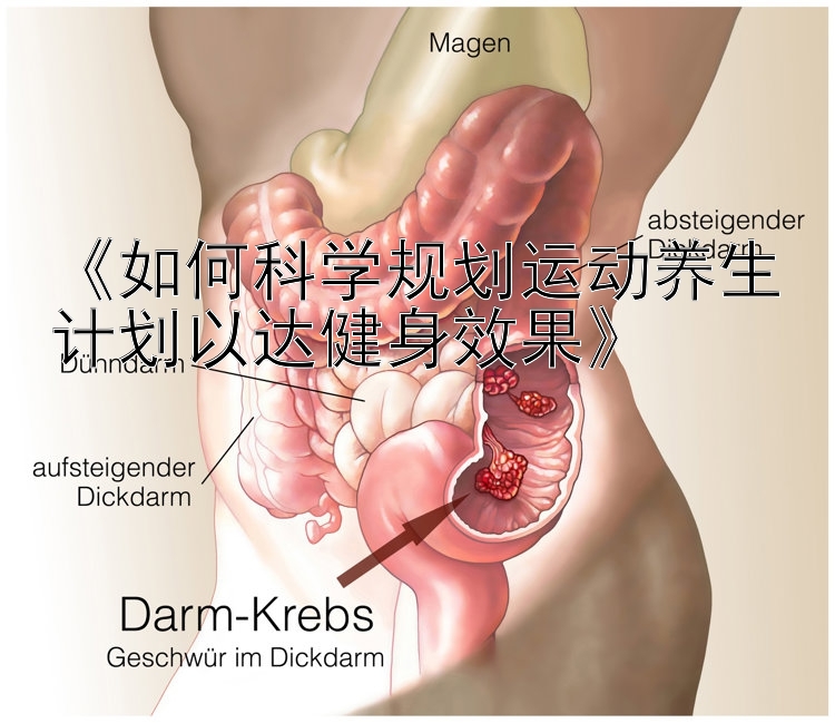 《如何科学规划运动养生计划以达健身效果》