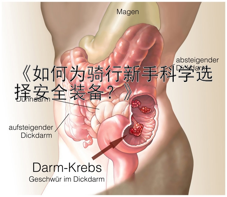 《如何为骑行新手科学选择安全装备？》