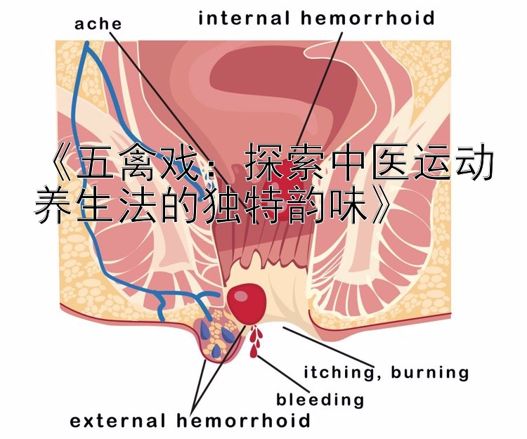 《五禽戏：探索中医运动养生法的独特韵味》