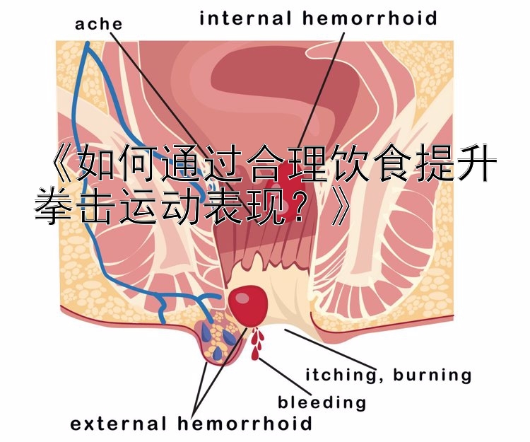 《如何通过合理饮食提升拳击运动表现？》