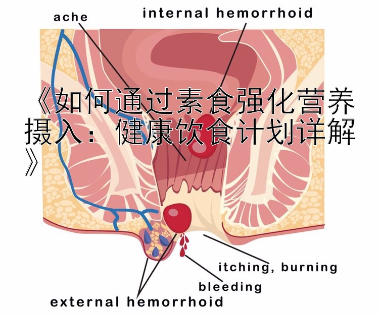 《如何通过素食强化营养摄入：健康饮食计划详解》