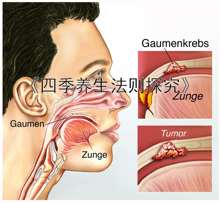 《四季养生法则探究》