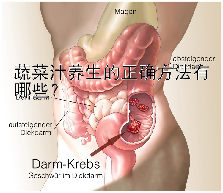 蔬菜汁养生的正确方法有哪些？