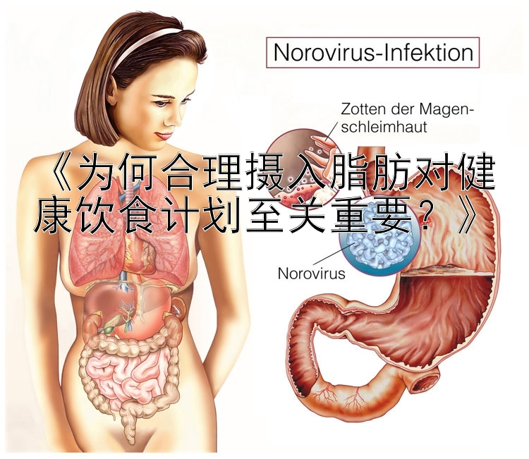 《为何合理摄入脂肪对健康饮食计划至关重要？》