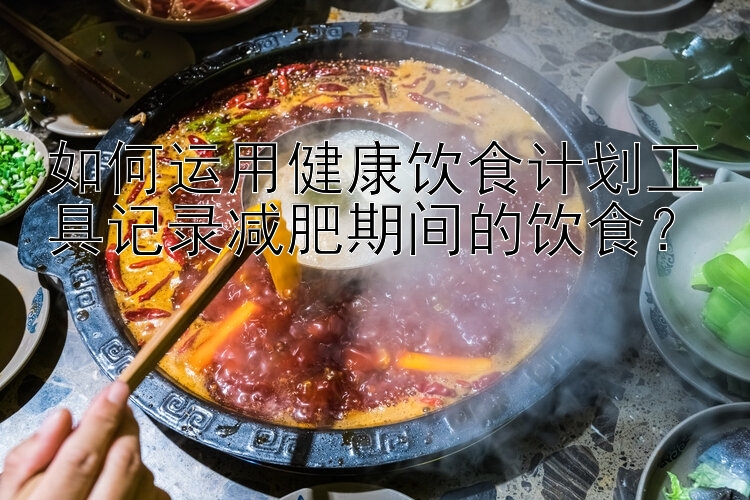 如何运用健康饮食计划工具记录减肥期间的饮食？