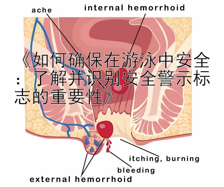 《如何确保在游泳中安全：了解并识别安全警示标志的重要性》