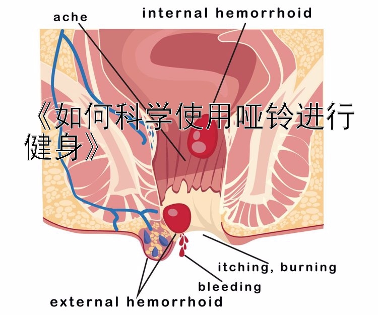 《如何科学使用哑铃进行健身》