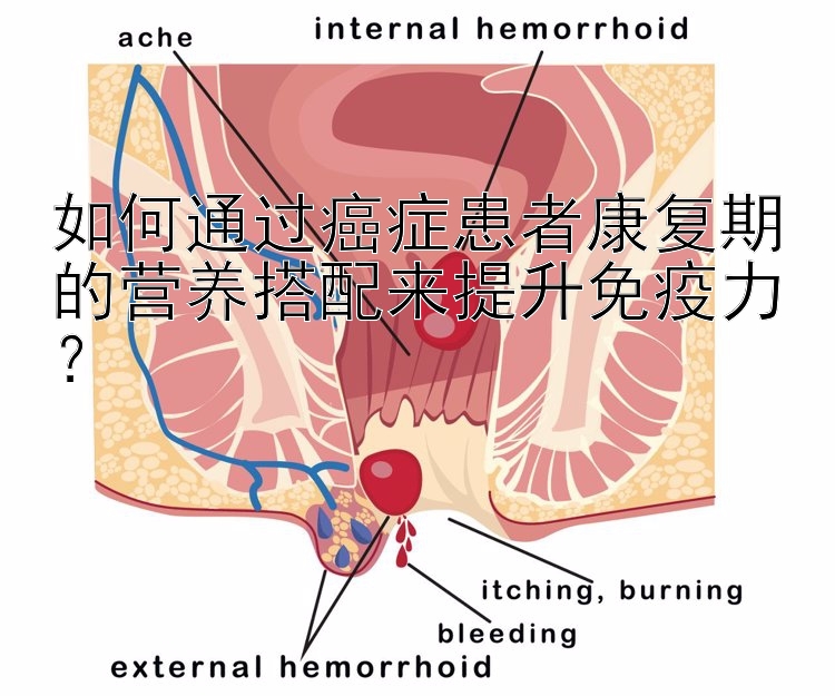 如何通过癌症患者康复期的营养搭配来提升免疫力？