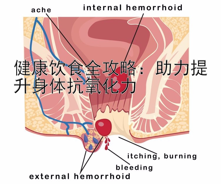 健康饮食全攻略：助力提升身体抗氧化力