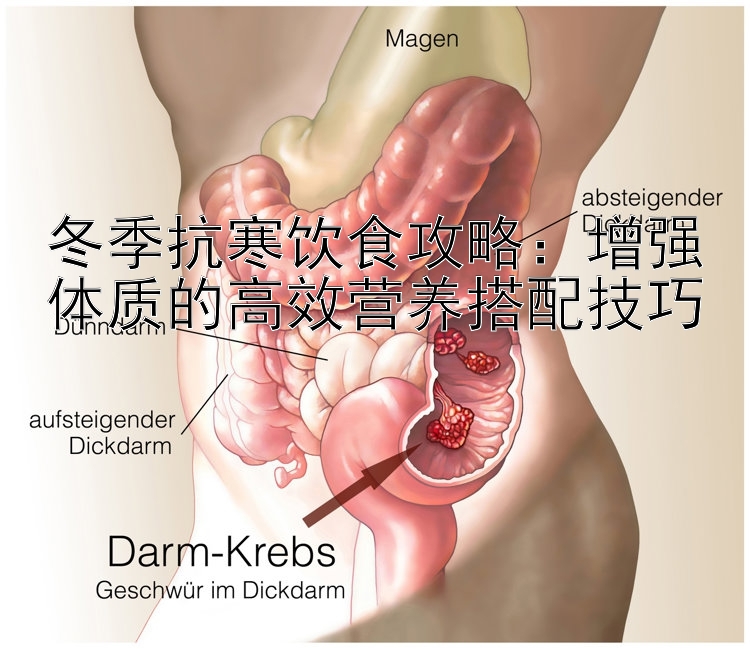 冬季抗寒饮食攻略：增强体质的高效营养搭配技巧