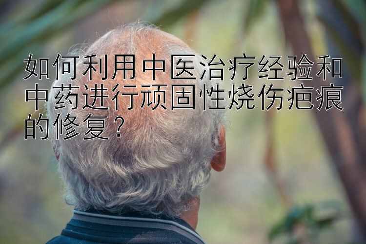 如何利用中医治疗经验和中药进行顽固性烧伤疤痕的修复？