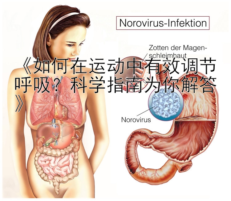 《如何在运动中有效调节呼吸？科学指南为你解答》